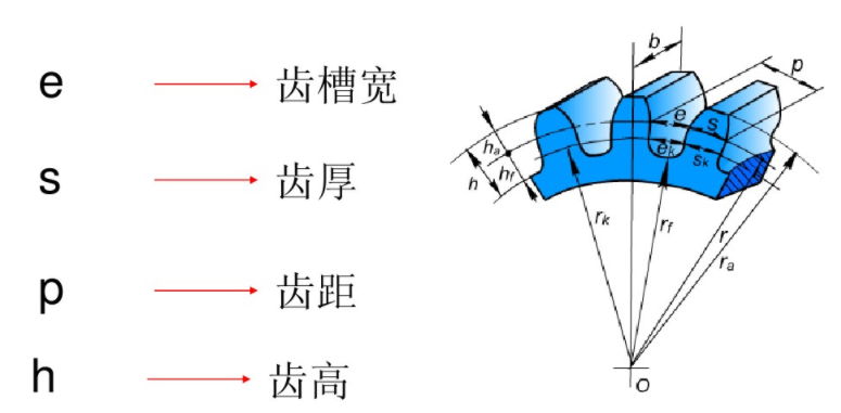 齒輪齒槽寬等其它參數(shù)說(shuō)明 齒輪齒槽寬等其它參數(shù)說(shuō)明