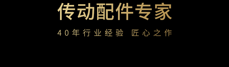 40年齒條傳動配件專家品質保障